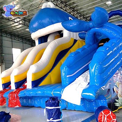 वाटर पार्क व्हेल inflatable वाटर स्लाइड विशाल inflatable मनोरंजन पार्क